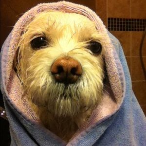 Meet your Posher, Kathy